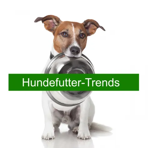 Bild: Hundefutter-Trends: Selbstgekochtes für den Hund statt Fertigfutter