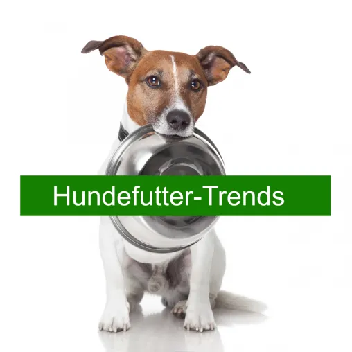 Bild: Hundefutter-Trends: Selbstgekochtes für den Hund statt Fertigfutter