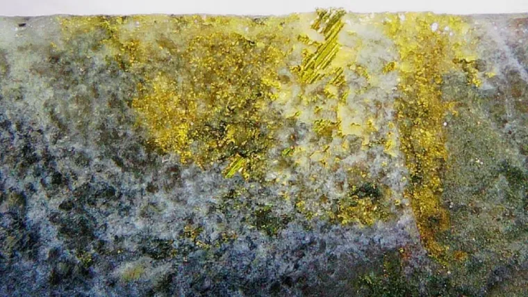 Emperor Metals: Goldprojekt Lac Pelletier vor nächstem Entwicklungsschub Bild: Emperor Metals: Goldprojekt Lac Pelletier vor nächstem Entwicklungsschub