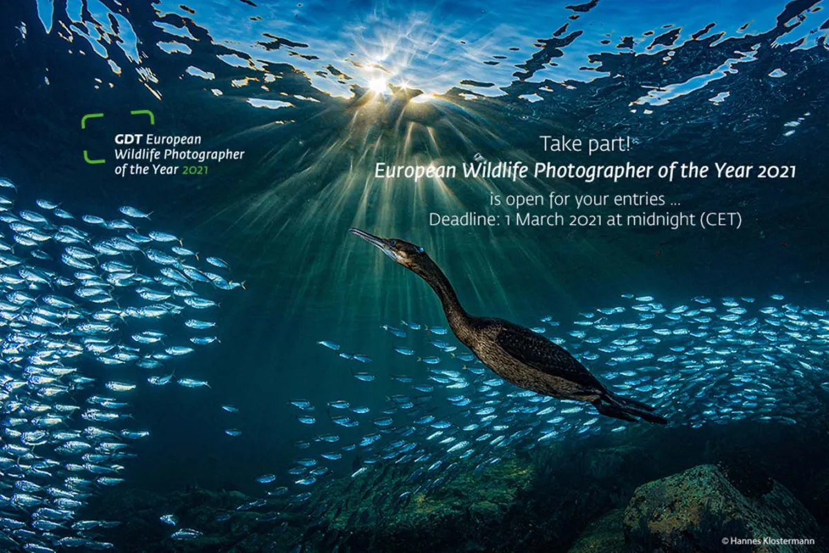 GDT ENJ 2020, Lobende Erwähnung Kategorie 