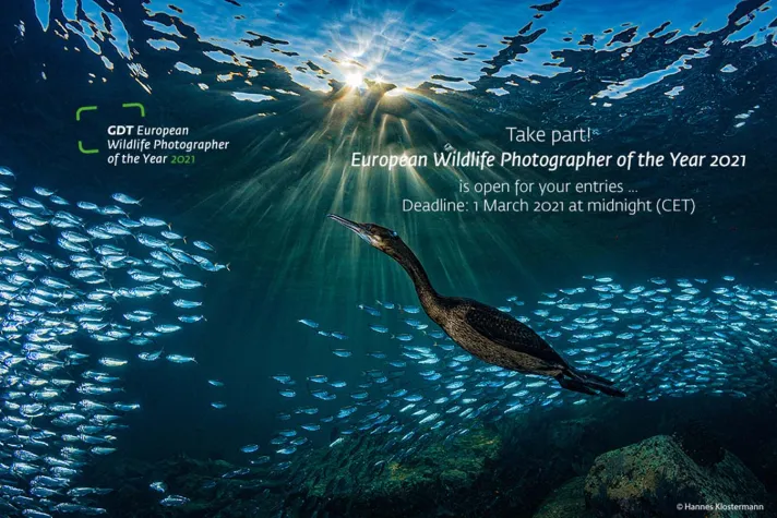 Bild: Wettbewerb Europäischer Naturfotograf des Jahres 2021 - Machen Sie mit!