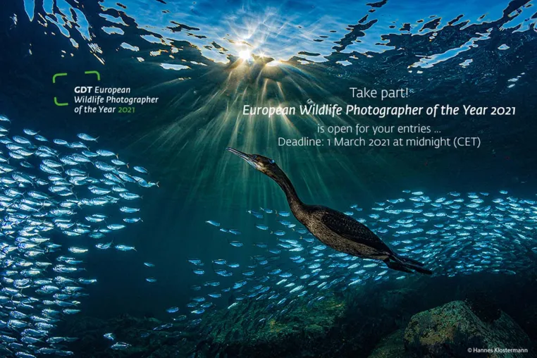 Wettbewerb Europäischer Naturfotograf des Jahres 2021 - Machen Sie mit! Bild: Wettbewerb Europäischer Naturfotograf des Jahres 2021 - Machen Sie mit!