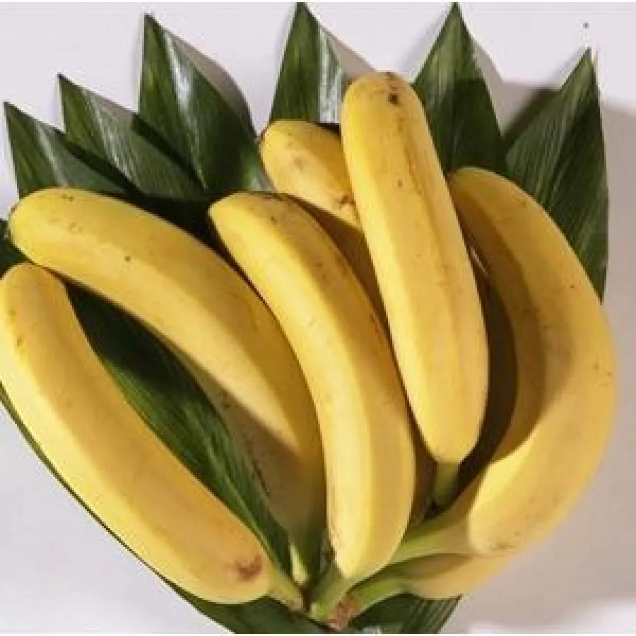 Die Banane: ein wichtiger Magnesiumliferant