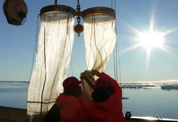 Bild: Polarstern bricht zum arktischen Langzeit-Observatorium HAUSGARTEN auf
