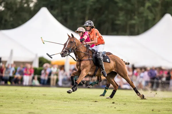 Bild: „Faster than Hockey, rougher than Rugby, sexier than Golf“ - Das Polopicknick Münster am 27. u. 28. Juli