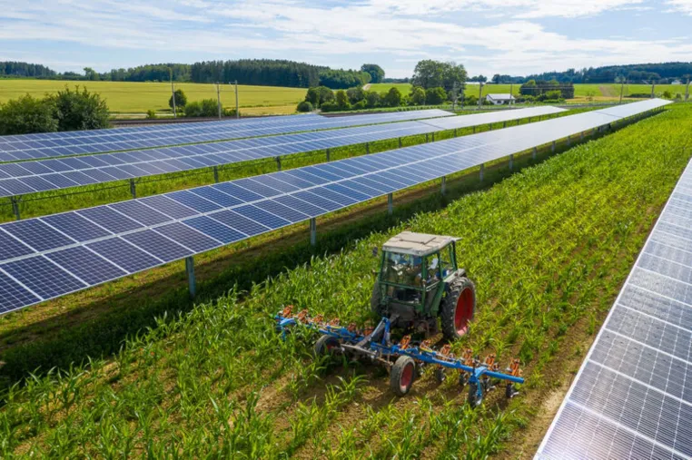 Bild: Ein- und zweiachsige Unterkonstruktionen von STP Solar Tracker Polska Sp.z o. o für den Agrarbereich