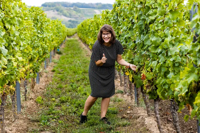 Bild: Praxisnahe Fortbildung Winzer Englisch: International erfolgreicher im Weinbau
