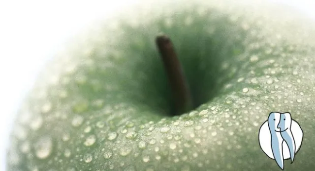 Bild: Biologisch bleachen