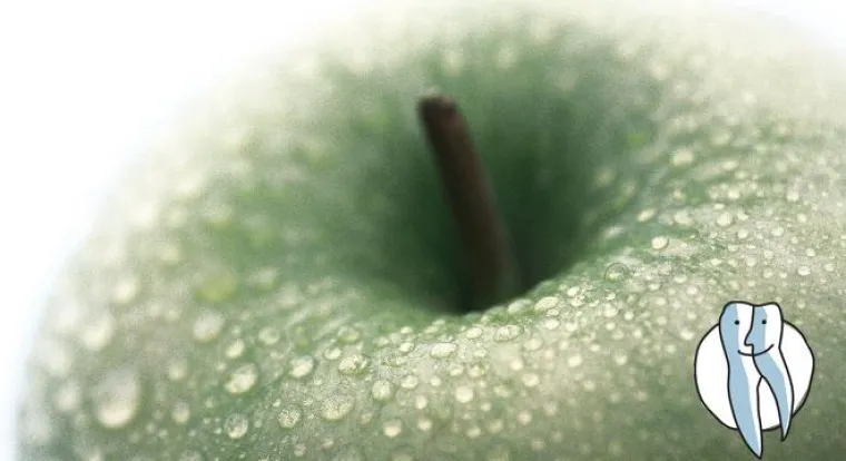 Bild: Biologisch bleachen