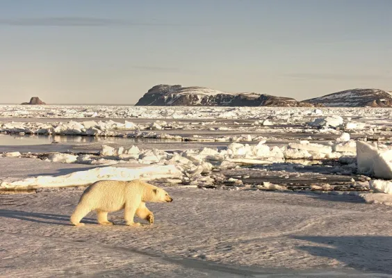 Bild: Polar-Kreuzfahrten mit außergewöhnlichen Reiserouten