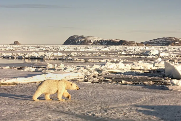 Polar-Kreuzfahrten mit außergewöhnlichen Reiserouten Bild: Polar-Kreuzfahrten mit außergewöhnlichen Reiserouten