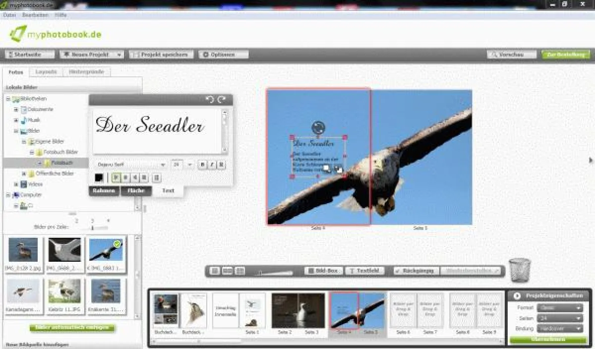 Screenshot von der myphotobook Software bei der Erstellung unsere Testbuchs.