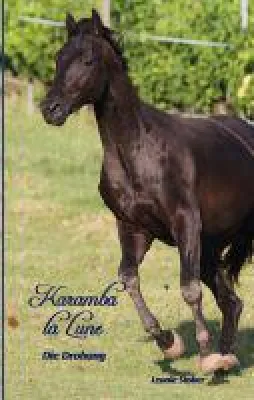 Bild: Jugendroman um den feurigen Araberhengst Karamba La Lune