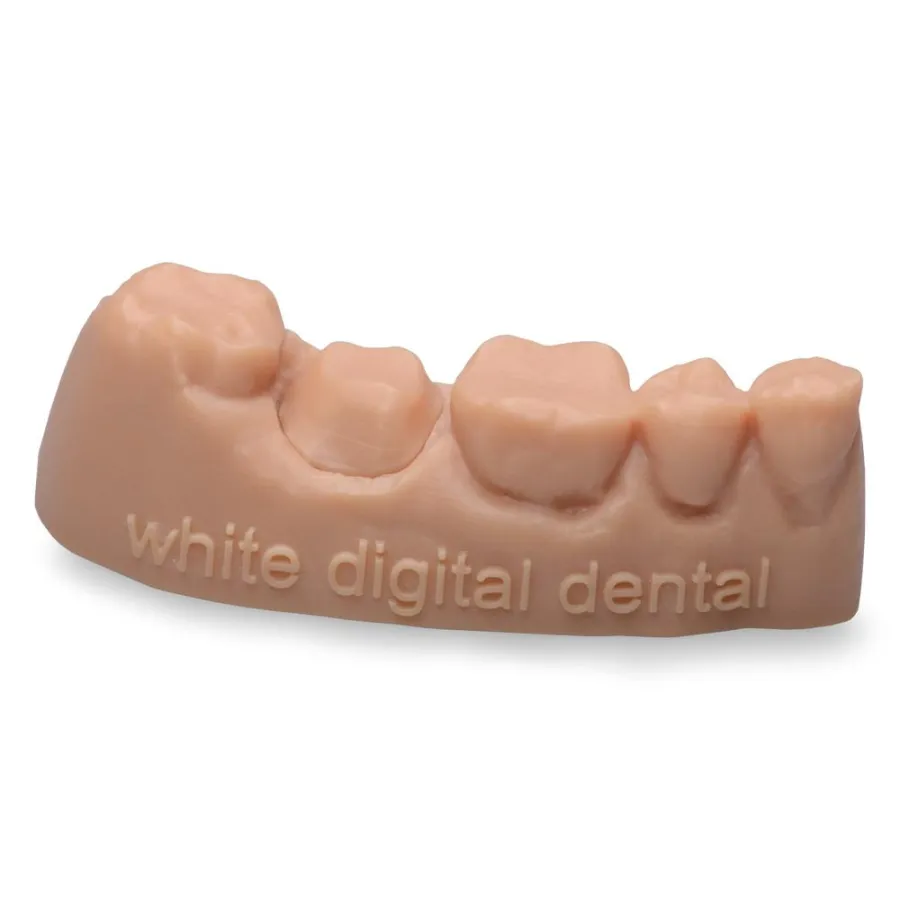 3D Druck Modell (Quadrant)