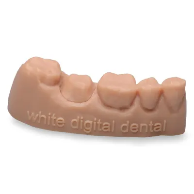 Bild: Neue Maßstäbe in der digitalen Zahntechnik: der 3D-Druck.