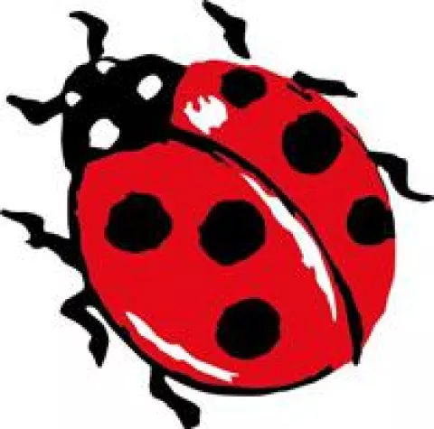 Dem Wetter mit neuer Assos Bekleidung trotzen Bild: Dem Wetter mit neuer Assos Bekleidung trotzen