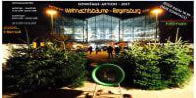 Bild: Weihnachtsbäume Regensburg