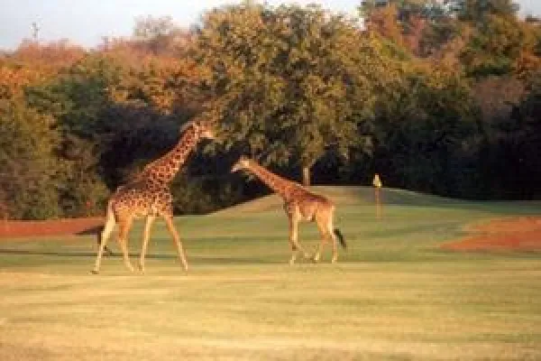 Bild: Golf und Safari in Südafrika - Entspannung am Strand von Mauritius