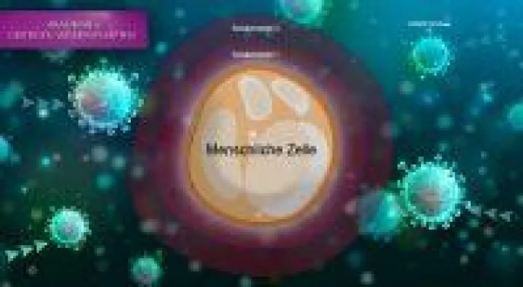 Bild: Spiritueller 2-Stufen Schutz gegen COVID-19