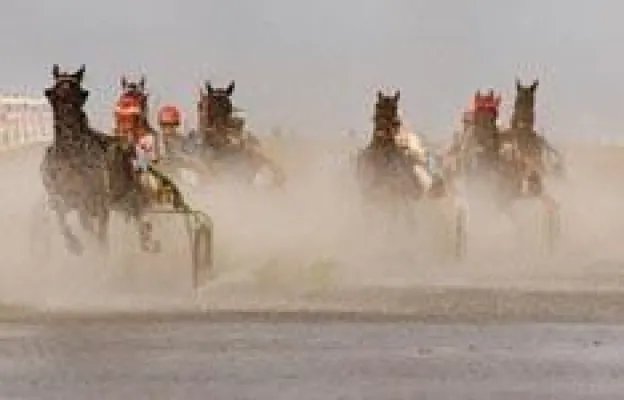 "Pferderennen auf dem Meeresgrund" - Fotoworkshop Bild: "Pferderennen auf dem Meeresgrund" - Fotoworkshop