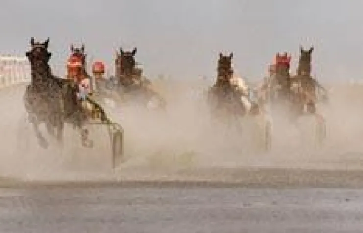 Bild: "Pferderennen auf dem Meeresgrund" - Fotoworkshop