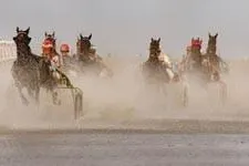 Bild: "Pferderennen auf dem Meeresgrund" - Fotoworkshop