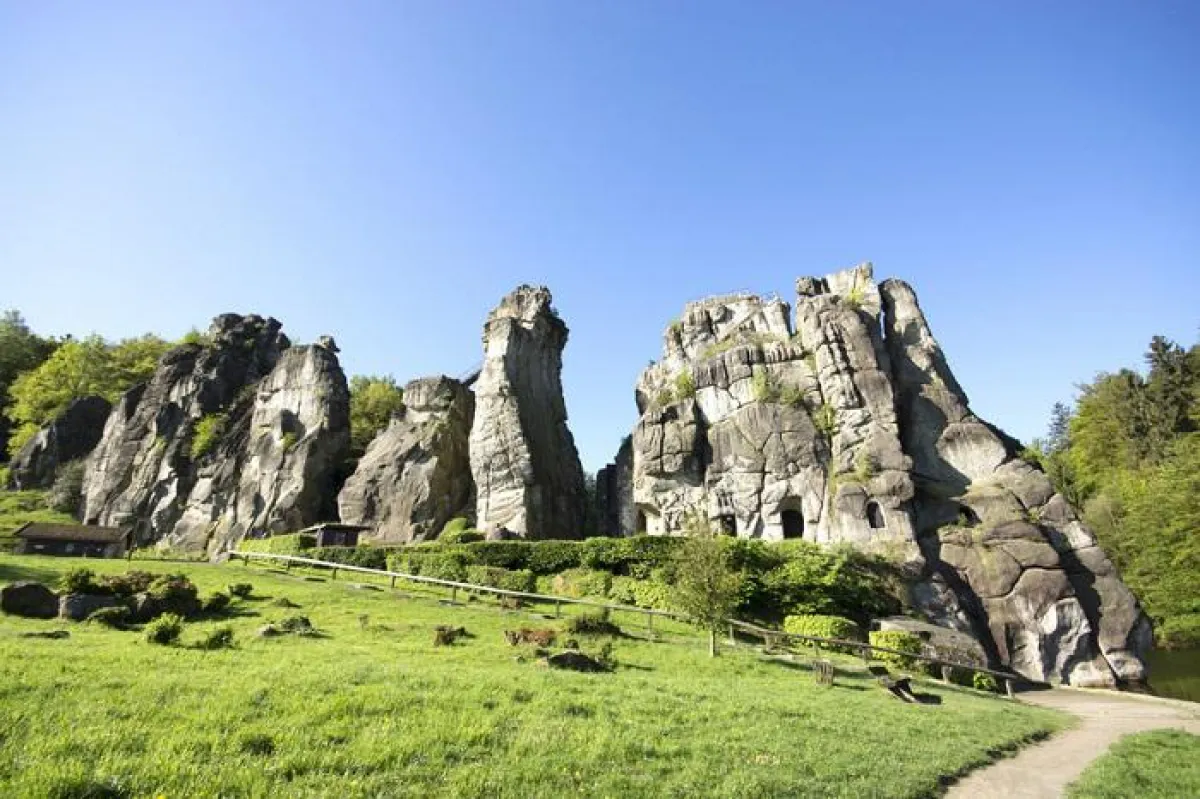 Inhouse Veranstaltung Künsting AG: Naturpark Teutoburger Wald