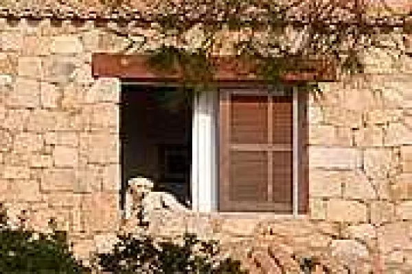 Bild: Urlaub mit Hund auf Korsika - auf der französischen Mittelmeerinsel sind Vierbeiner erwünscht