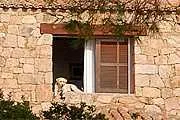 Urlaub mit Hund auf Korsika - auf der französischen Mittelmeerinsel sind Vierbeiner erwünscht Bild: Urlaub mit Hund auf Korsika - auf der französischen Mittelmeerinsel sind Vierbeiner erwünscht