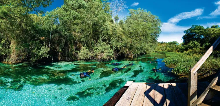 Bild: Pantanal: Brasiliens grünes Abenteuer