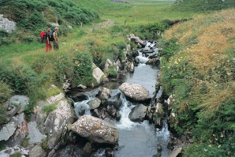 Bild: Auf wanderbaren Wegen durch Irland