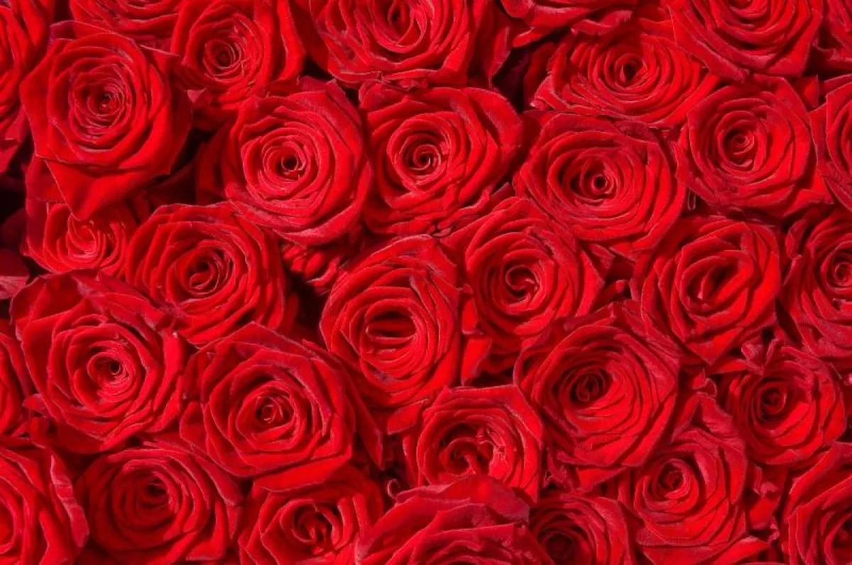 Valentinstag Restaurant München