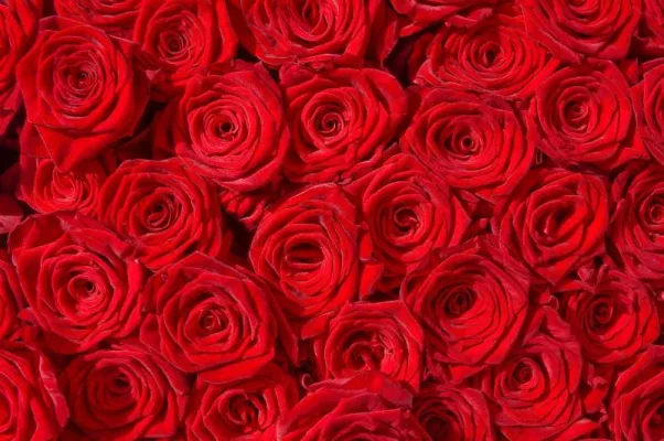 Bild: Restaurant München – Valentinstag in München genießen