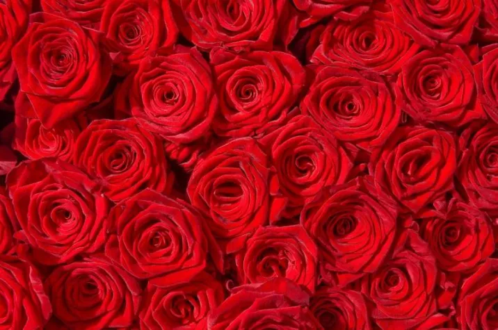 Bild: Restaurant München – Valentinstag in München genießen