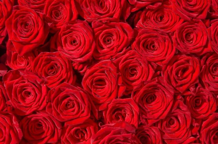 Restaurant München – Valentinstag in München genießen Bild: Restaurant München – Valentinstag in München genießen