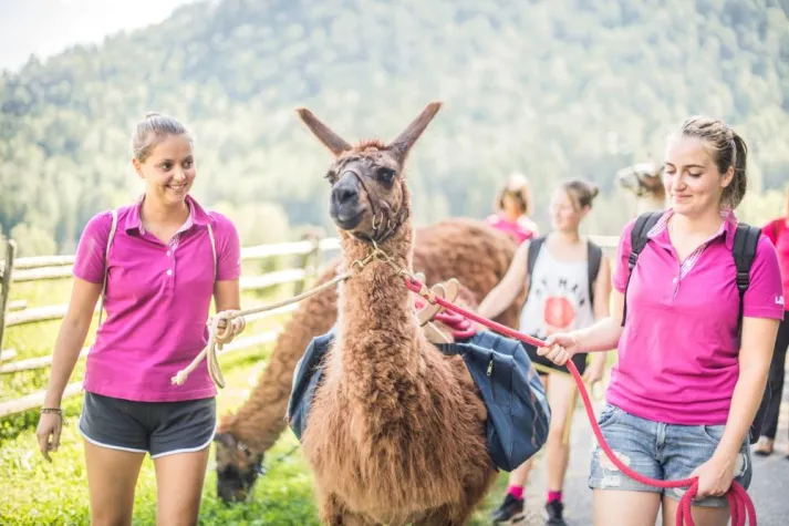 Bild: Auf Du und Du mit Lamas und Co.