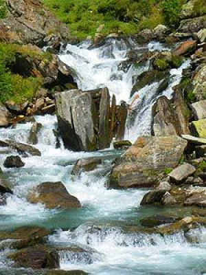Bild: Ist Wasser gleich Wasser?