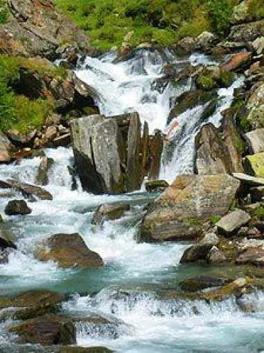 Bild: Ist Wasser gleich Wasser?
