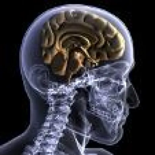 Bild: Intelligente sind kreativer