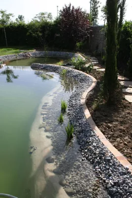 Bild: a + g tec erstellt ersten Schwimmteich Europas mit Flex-c-ment