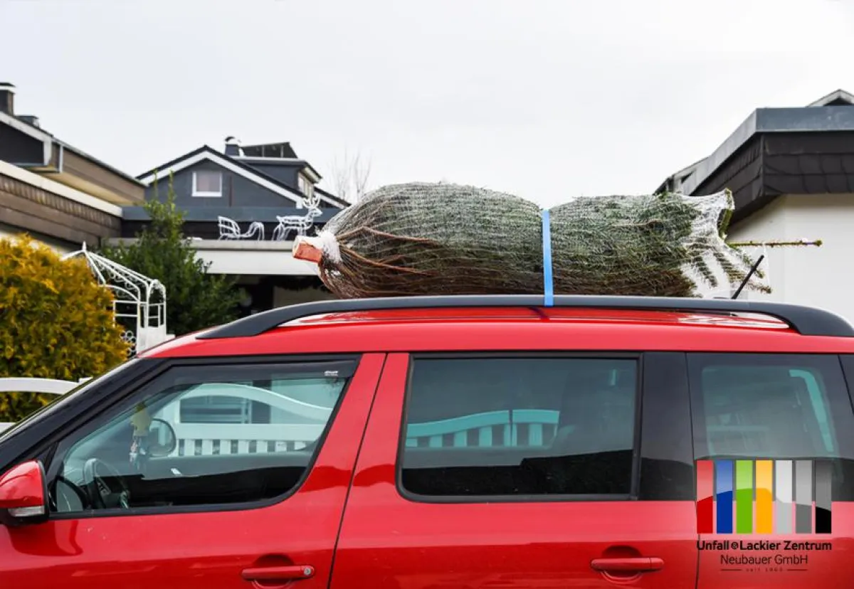 Sicherer Weihnachtsbaumtransport