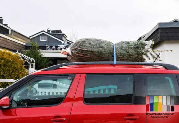 Bild: Schon den Weihnachtsbaum gekauft?