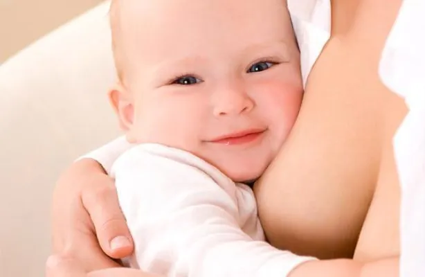 Bild: Die Pflanze, die beim Stillen "hilft"