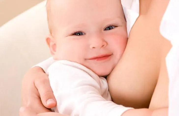 Bild: Die Pflanze, die beim Stillen "hilft"