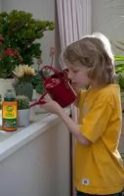 Bild: Auch Kakteen brauchen Pflege - Neu: ClassicLine Kakteen- & Bonsaierde und Dünger von frux