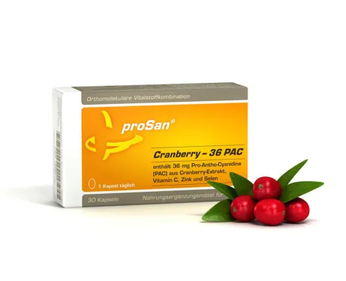 Cranberry Kapseln – sinnvoll kombinieren mit Blasen-aktiven Mikronährstoffen Bild: Cranberry Kapseln – sinnvoll kombinieren mit Blasen-aktiven Mikronährstoffen