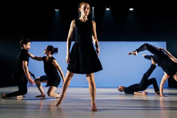 Tanz im August 2013 Bild: Tanz im August 2013