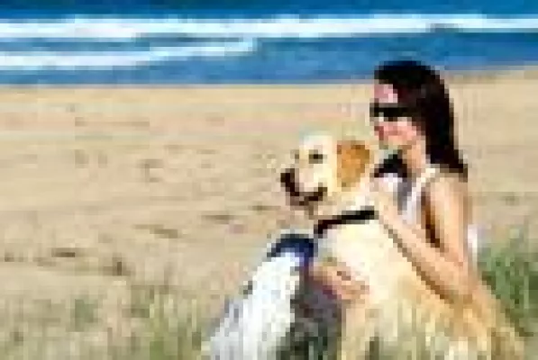 Bild: Entspannt in den Urlaub - Versicherungen für Hund und Herrchen