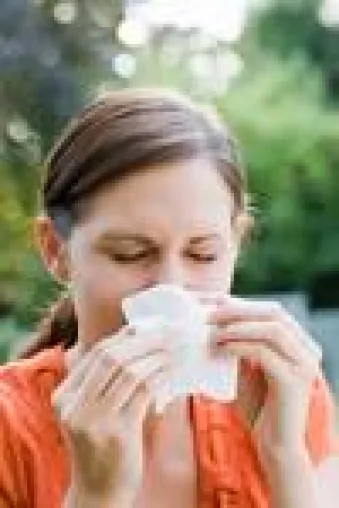 Bild: Allergien: Fehlalarm im Immunsystem Spielt die Körperabwehr verrückt, können Vitalpilze sanft regulieren