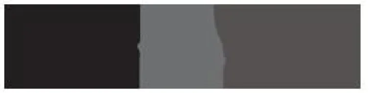 Bild: Wimpernverlängerung bei Wimpern Traum in Berlin